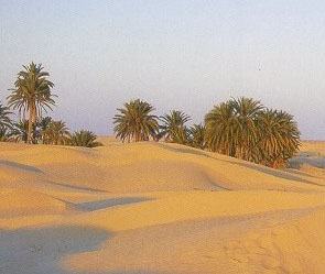 Sahara Desert in Tunisia